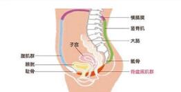 十個女性有九個都不知道產(chǎn)后康復(fù)治療儀的作用