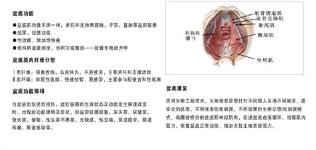 產后恢復中心加盟，做月子不再是一蹴而就