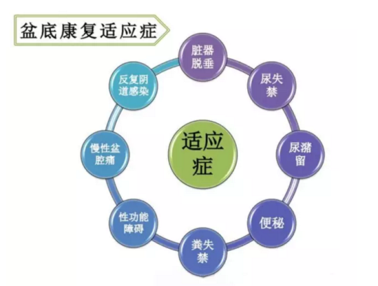 都在想盆底康復(fù)治療儀品牌，為何別人看的是盆底康復(fù)治療儀的功效與作用