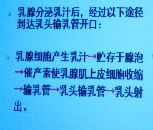 影響泌乳的因素有哪些，母乳喂養(yǎng)得了解