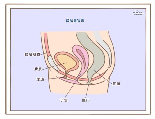 盆底康復治療儀應該在產后什么時候使用？
