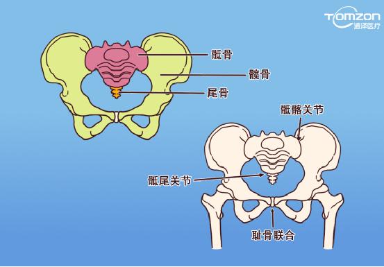 盆底肌康復(fù)儀能不能呵護(hù)健康？