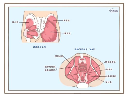 盆底康復(fù)治療儀可以緩解絕經(jīng)后出現(xiàn)的癥狀嗎？