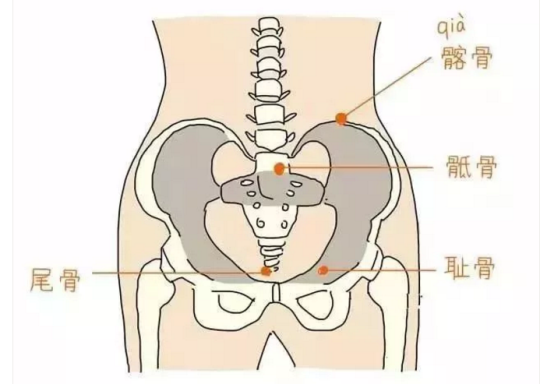 腹直肌修復(fù)