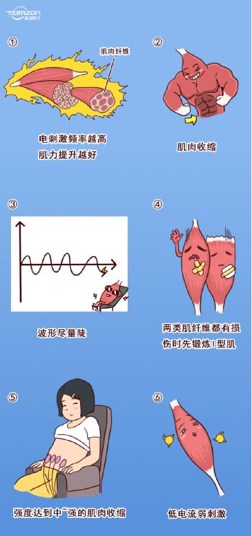 盆底肌修復儀器